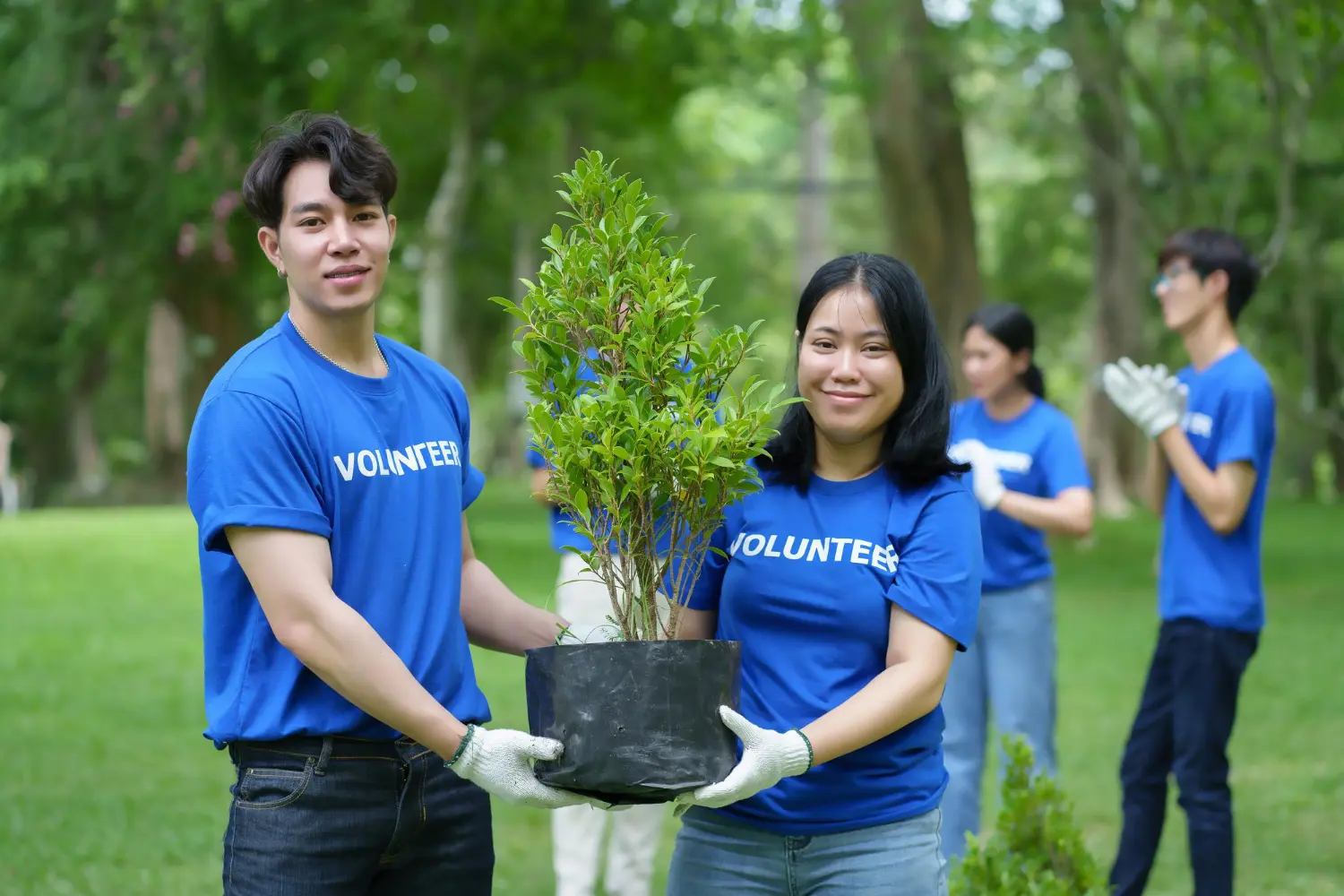 As Melhores Formações para Trabalhar com Ação Voluntária